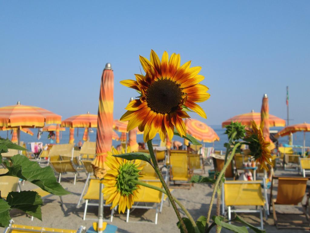 Residence Mare Verde Pietra Ligure Dış mekan fotoğraf